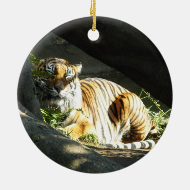Tiger Catnap Keramikornament (Hinten)