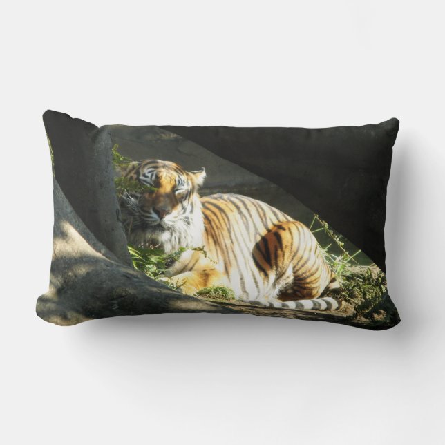 Tiger Catnap Lendenkissen (Vorderseite)