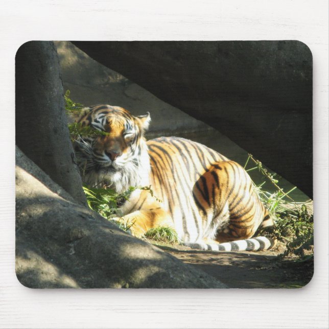 Tiger Catnap Mousepad (Vorne)