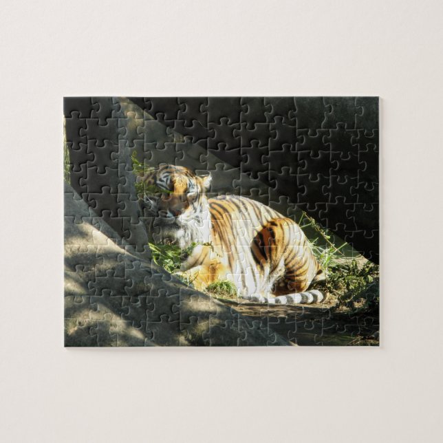 Tiger Catnap Puzzle (Horizontal)