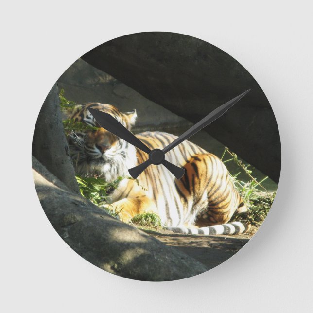 Tiger Catnap Runde Wanduhr (Vorderseite)