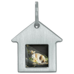 Tiger Catnap Tiermarke