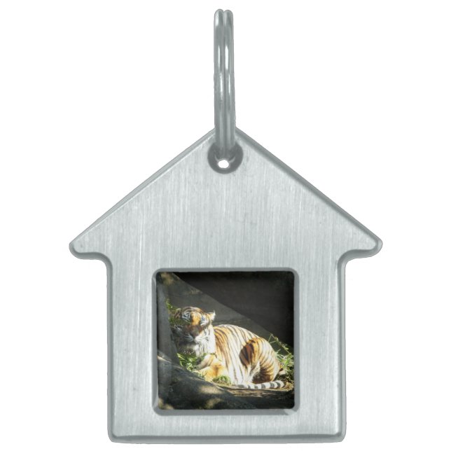 Tiger Catnap Tiermarke (Vorderseite)