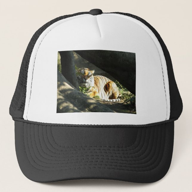 Tiger Catnap Truckerkappe (Vorderseite)