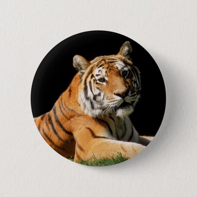 Tiger Closeup Button (Vorderseite)