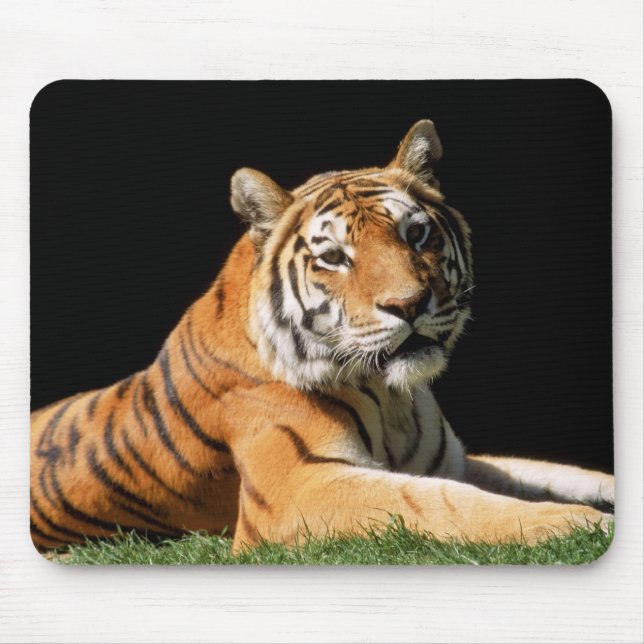 Tiger Closeup Mousepad (Vorne)