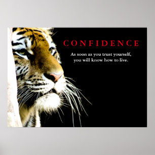 Tiger Confidence Zitat Inspiration Poster