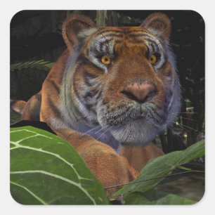 Tiger Crouching im Dschungel Quadratischer Aufkleber