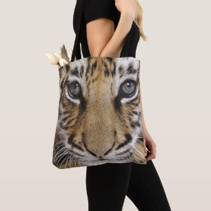 Tiger CUB