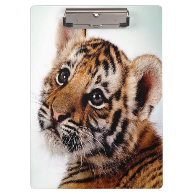 Tiger Cub/Clipboard Klemmbrett (Vorderseite)