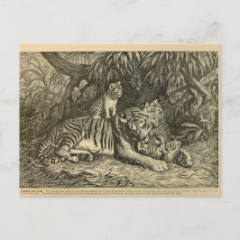 Tiger Cub Ephemera Vintag Art Postkarte