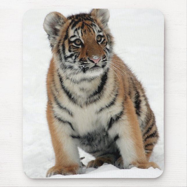 Tiger Cub in the Snow Photo Mousepad (Vorne)