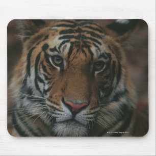 Tiger CUB Mousepad
