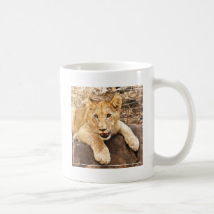 Tiger CUB nimmt Verschnaufpause auf einem Felsen Tasse