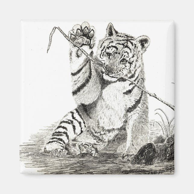 Tiger cub spielt Magnet (Vorne)