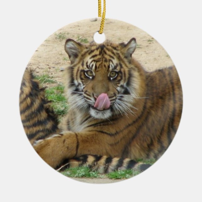 Tiger CUB verzieren Keramikornament (Vorne)