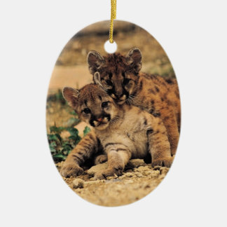 Tiger CUB verzieren Keramikornament