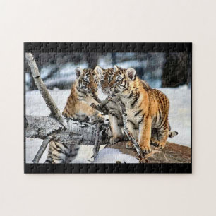 Tiger Cubs beim Spielen Puzzle