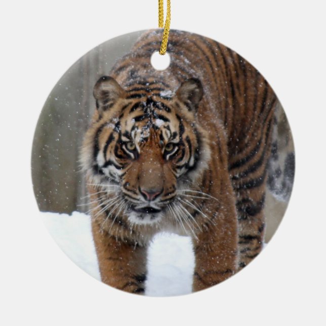 Tiger Damai Smithsonian | Sumatran Keramikornament (Vorne)