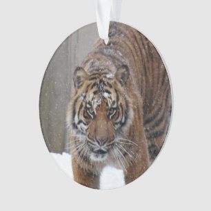 Tiger Damai Smithsonian   Sumatran Ornament