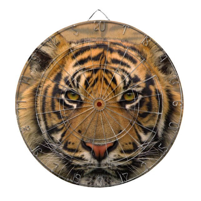Tiger Dartscheibe (vorne)
