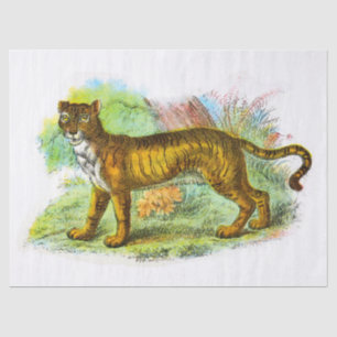 Tiger-Dekoute für Vintagen Liger oder Löwe Seidenpapier