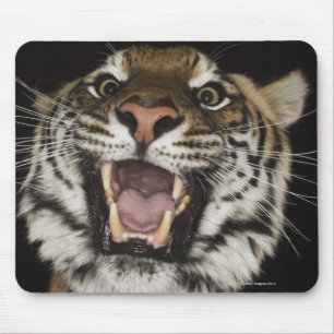 Tiger, der 2 brüllt mousepad
