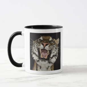 Tiger, der 2 brüllt tasse