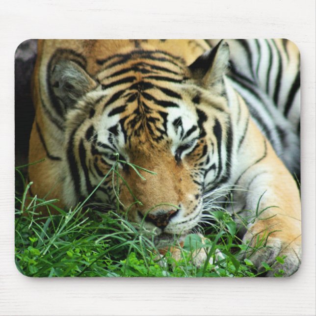 Tiger, der im Gras Mousepad schläft (Vorne)
