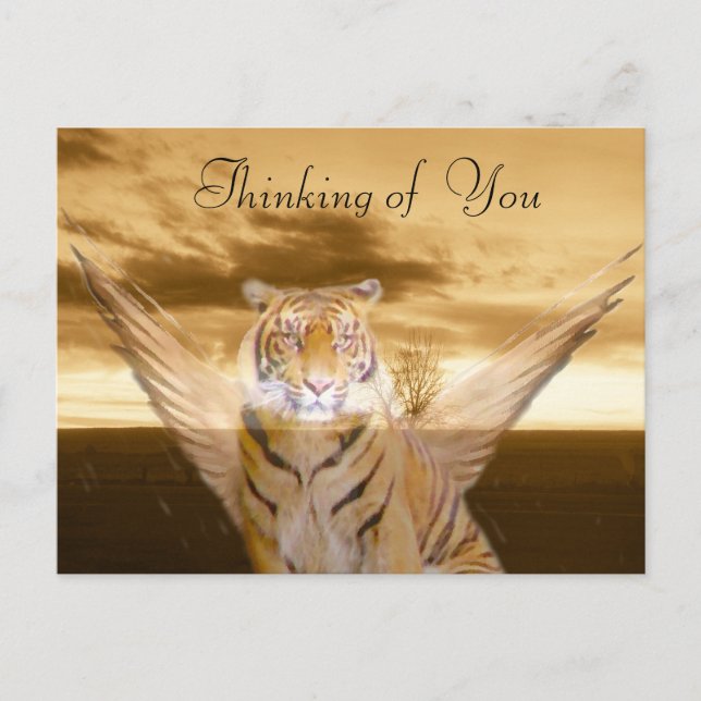 Tiger der Liebe_ Postkarte (Vorderseite)