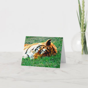 Tiger, der unten Anmerkungs-Karte liegt Karte