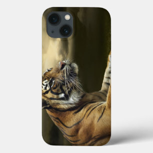 Tiger, der unter drastischem Himmel schaut und Case-Mate iPhone Hülle