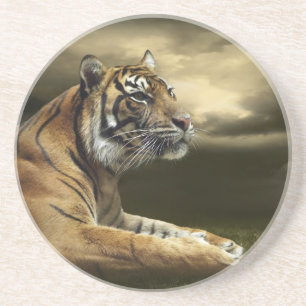 Tiger, der unter drastischem Himmel schaut und Getränkeuntersetzer