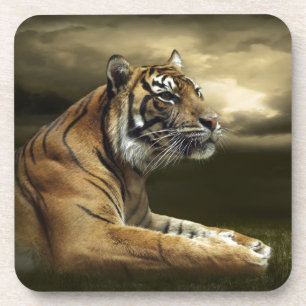 Tiger, der unter drastischem Himmel schaut und Getränkeuntersetzer