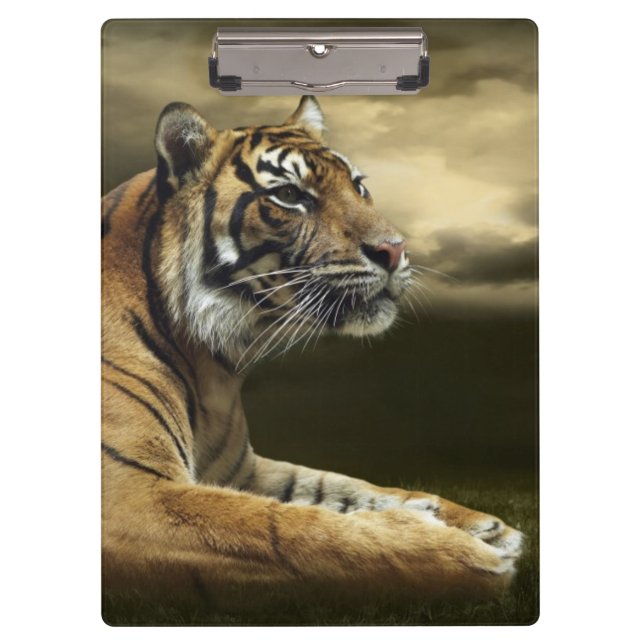 Tiger, der unter drastischem Himmel schaut und Klemmbrett (Vorderseite)