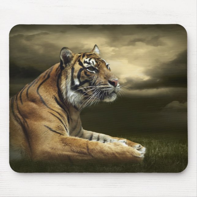 Tiger, der unter drastischem Himmel schaut und Mousepad (Vorne)