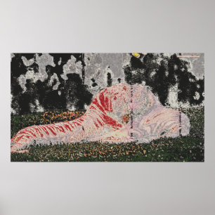 Tiger, die auf dem Gebiet liegen Poster