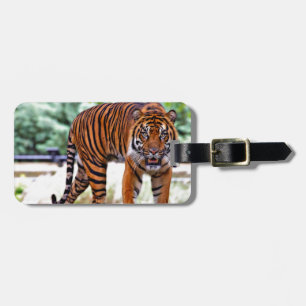 Tiger-Druck Katze individuell personalisieren Jubi Gepäckanhänger