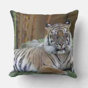 Tiger-Druck Katze individuell personalisieren Jubi Kissen