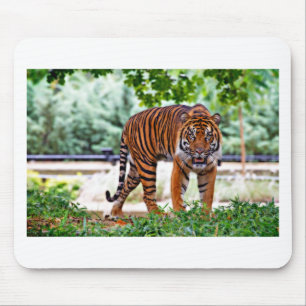 Tiger-Druck Katze individuell personalisieren Jubi Mousepad
