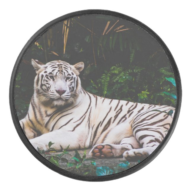 Tiger Eishockey Puck (Vorderseite)