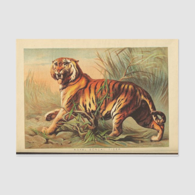 Tiger Ephemera Decoupage Seidenpapier (Vorderseite)