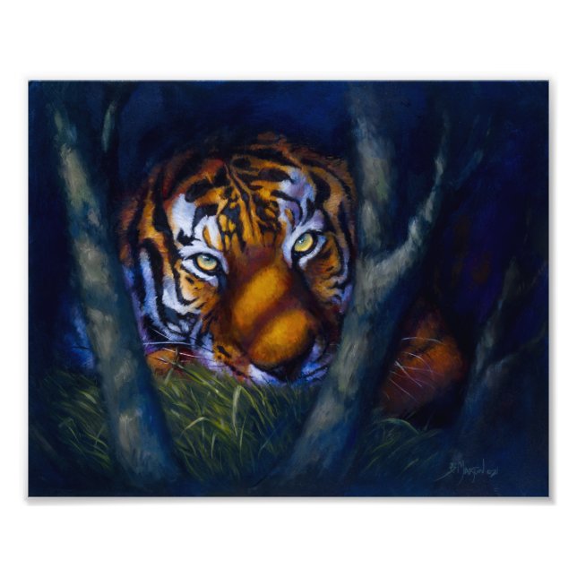 Tiger Eyes Fotodruck (Vorne)