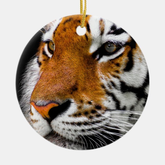 Tiger Eyes Keramik Ornament (Vorne)