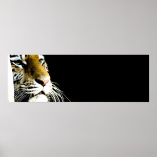 Tiger Eyes Poster