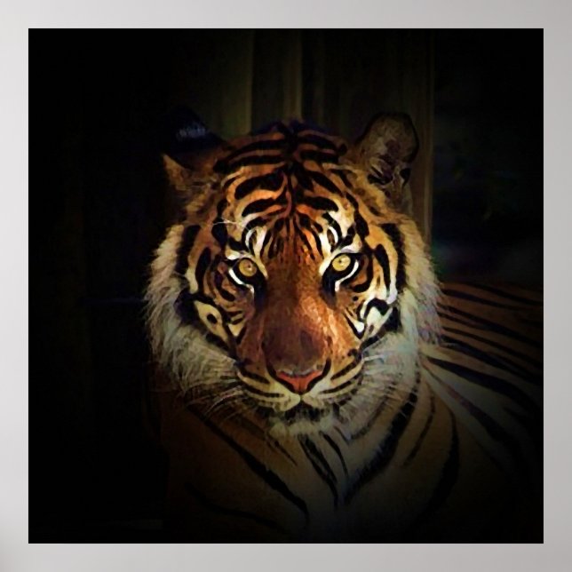 Tiger Eyes Poster - Wild Life Art Prints (Vorne)