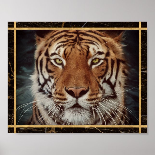 Tiger Face Foto Image Print Poster (Vorne)