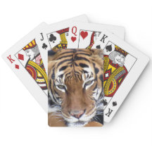 Tiger - Fahrradkarten