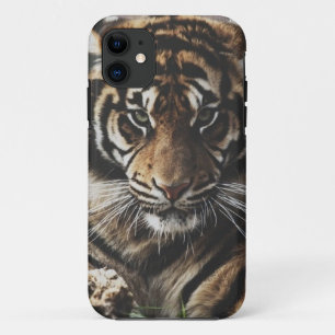 Tiger-Fall Case-Mate iPhone Hülle
