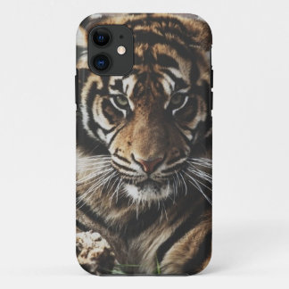 Tiger-Fall Case-Mate iPhone Hülle